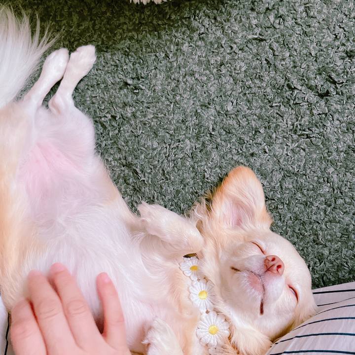 3e469b6e fd47 4346 ab16 fa4ed104e99f 1662382723643