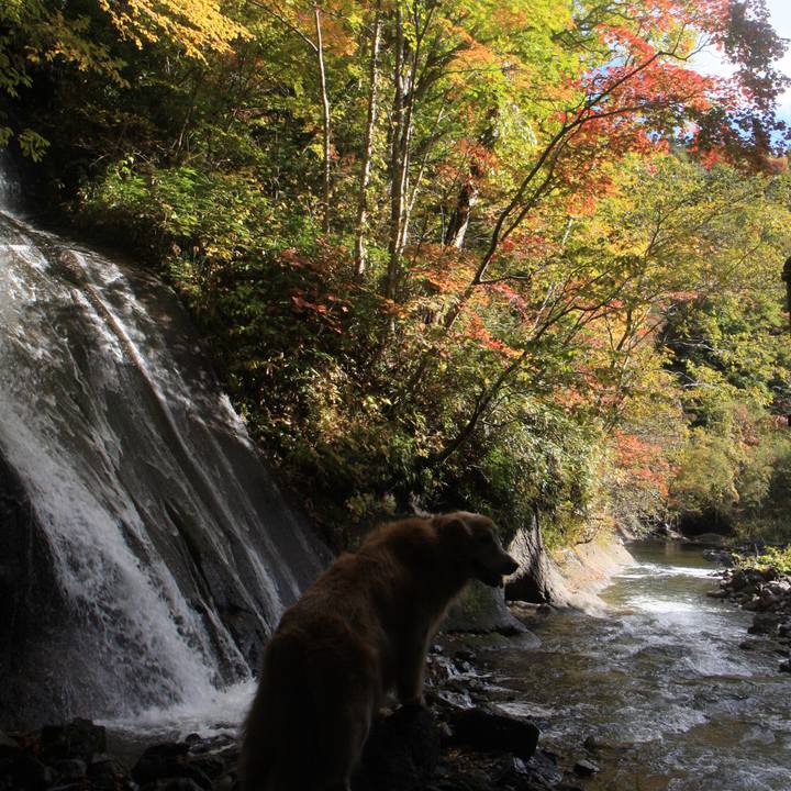 3e46b2c1 649e 432a 879a 936c42ea4e9b 1763023357566