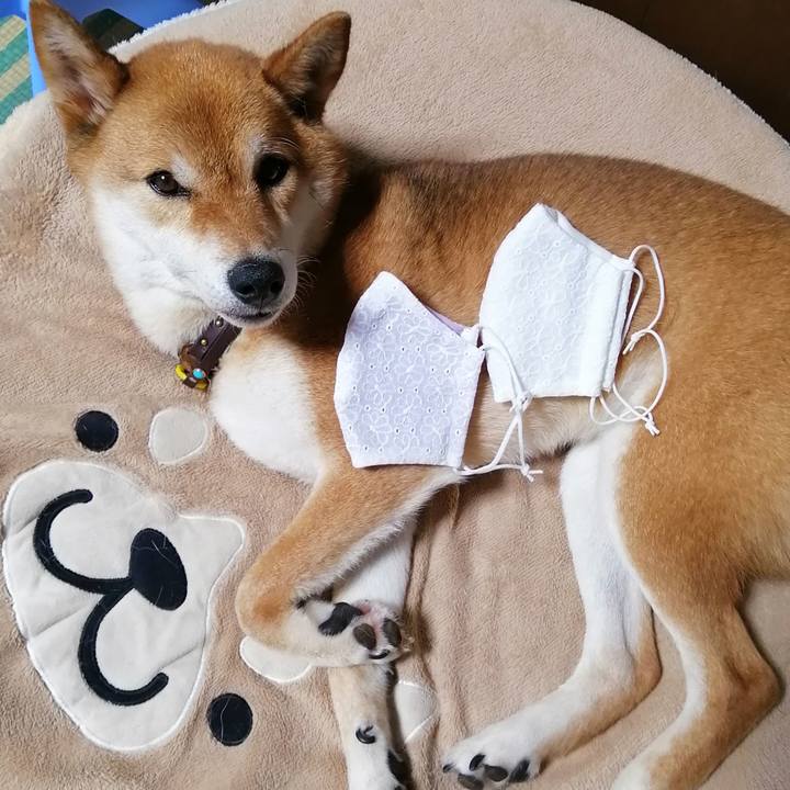 3e46d148 a3b1 43f9 978f e7844735d7a3 1594472362816