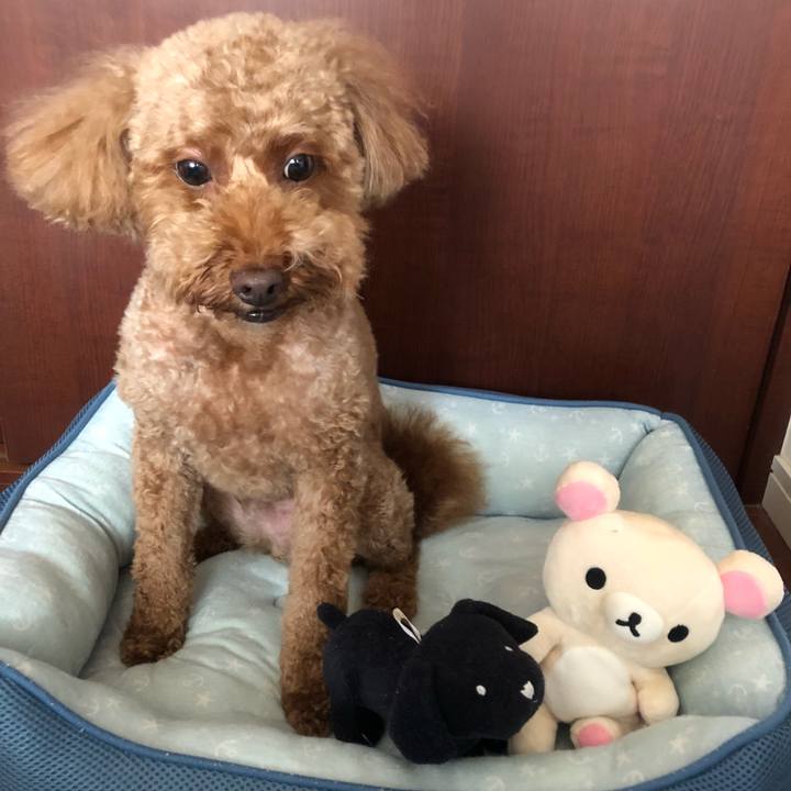 3e46e0cb b561 4a8c 9f4c bf23cfb62353 1535778165701