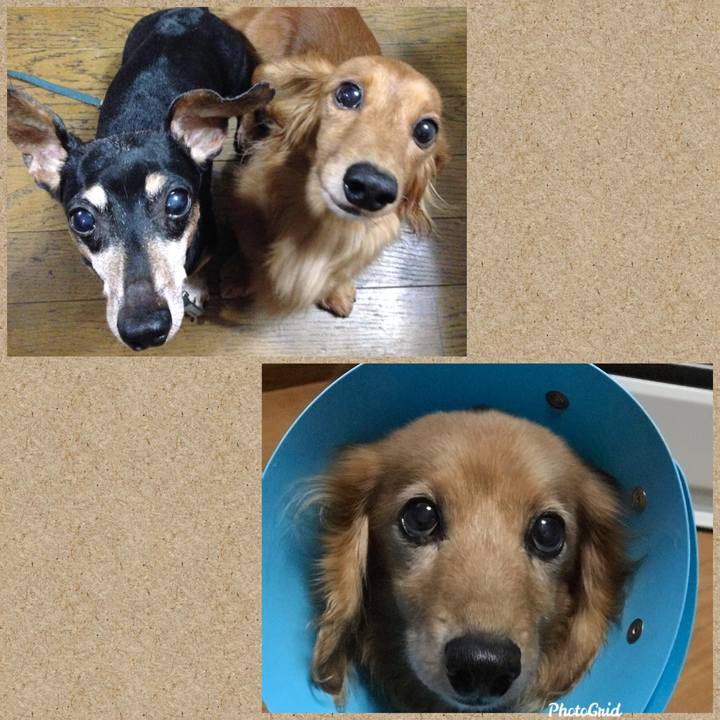 3e472be2 0406 482d a2aa e20ec066986a 1604835081990