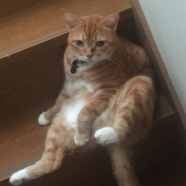 3e474e35 6410 46d3 aaa1 2a47ee7c7904 1569023259214