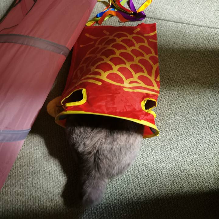 3e4767d0 028f 4e7a bc91 2c7ba7a38051 1624418954762