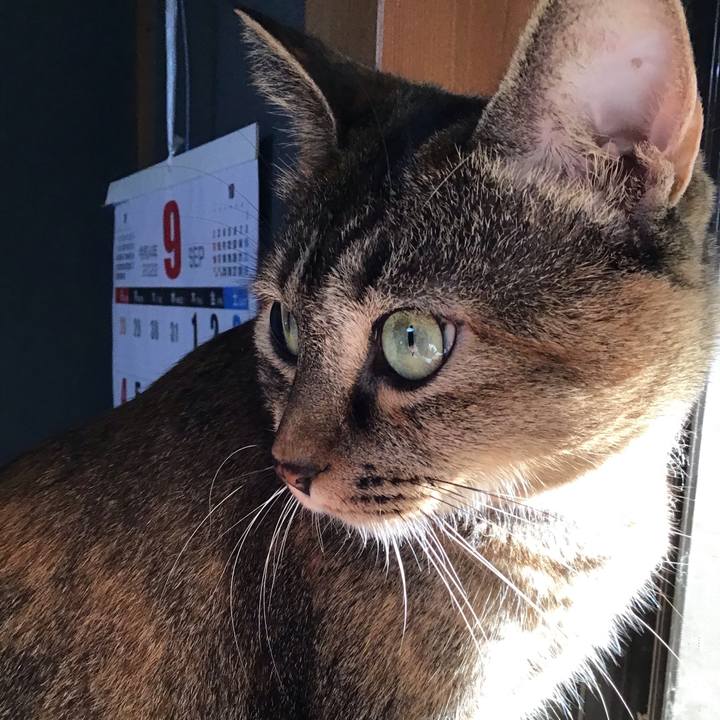 3e47839a 69d6 4369 8a48 86e9fe8621bc 1663319705542