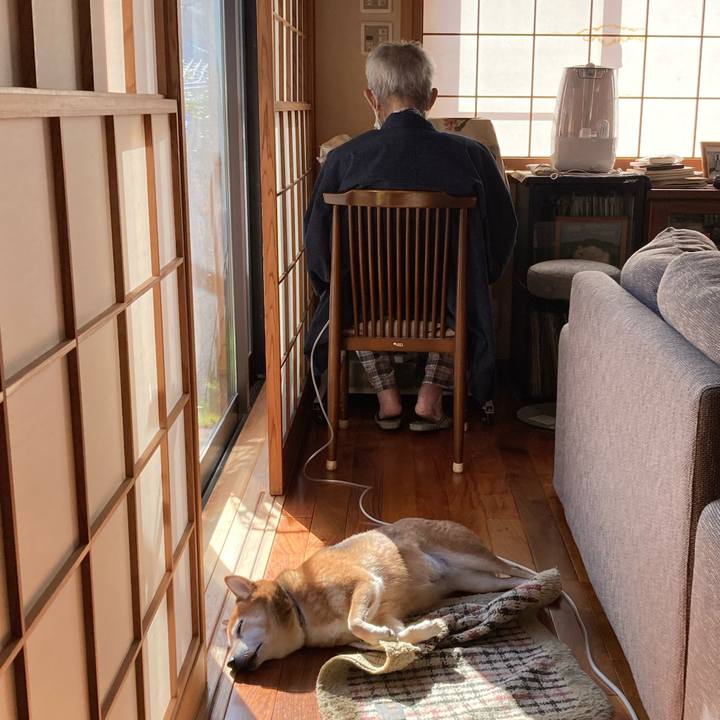 3e479c68 ed8c 47e1 bfb2 2ce2a0ecd22b 1636019297560