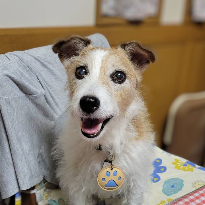 3e47a69c 7972 4ad4 ba6b adc40d86506c 1762577363092