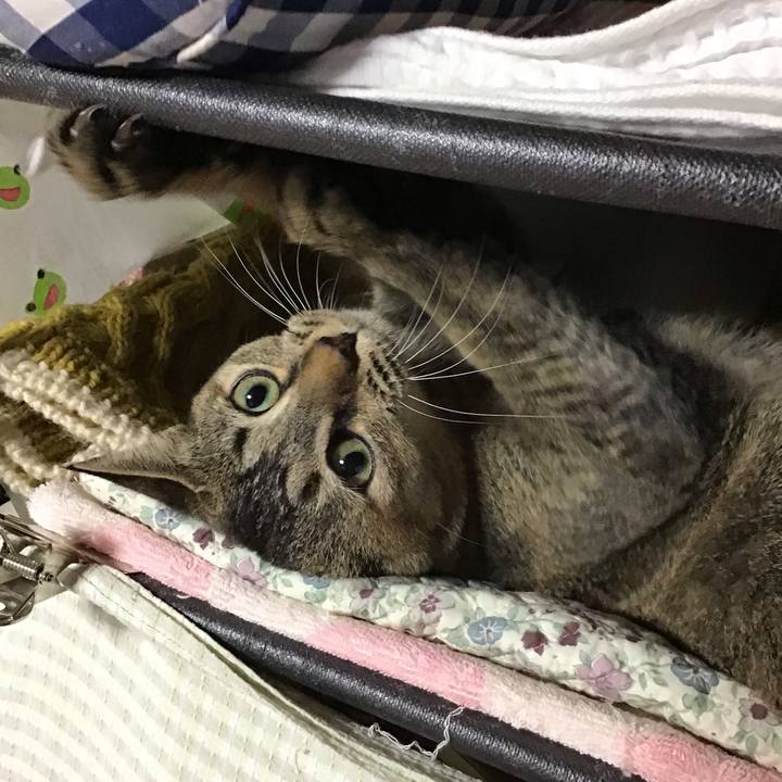 3e47a738 4f30 4181 9751 a3d697c3a108 1577689951049