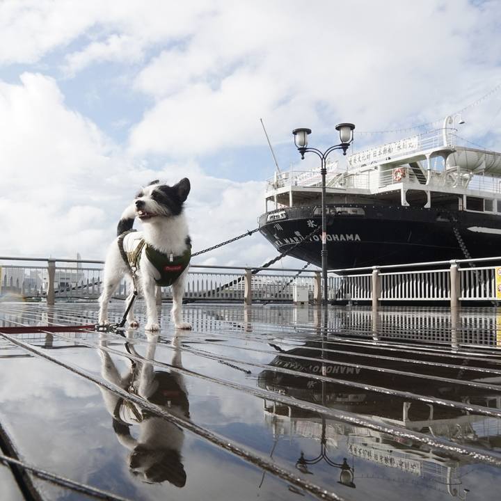 3e47e1f1 3e7c 4dcb b9ce a524421ca315 1629324392180