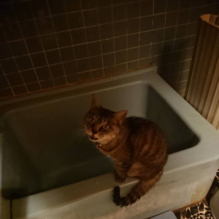 3e47ec50 0baf 445e 82c5 dc6c96148275 1570700718908