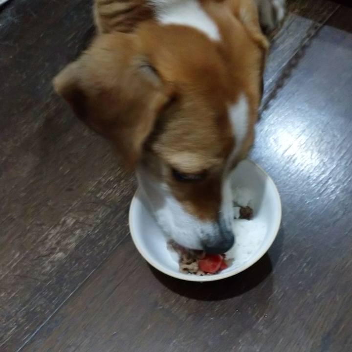 3e47f604 074a 45c4 b257 45a0f42aba00 1583577649788