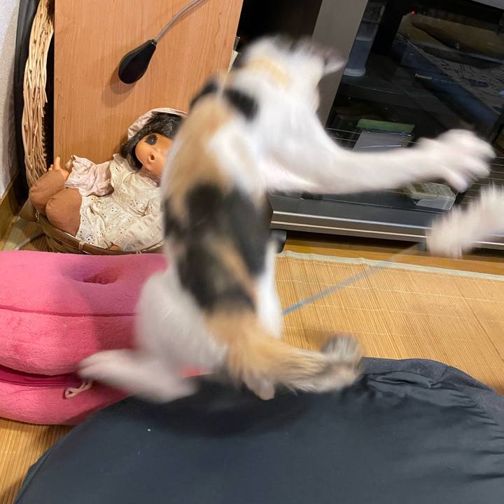 3e4818e1 e0b1 401d 91b1 b364447a2965 1659793234105