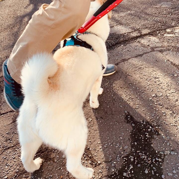 3e485e1a 827c 4473 b360 7435debdf0d9 1681771308400