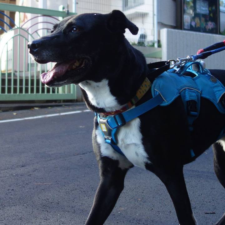 3e487833 777b 4712 a134 1d6f0f7fb5ee 1633134425834