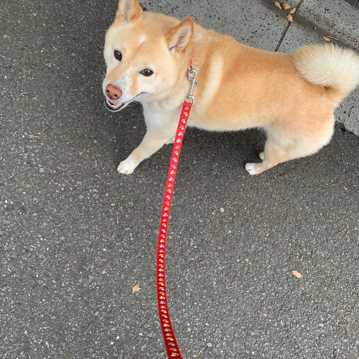 3e48ae48 bead 4b94 ab7f 3aadae20d74a 1654676698972