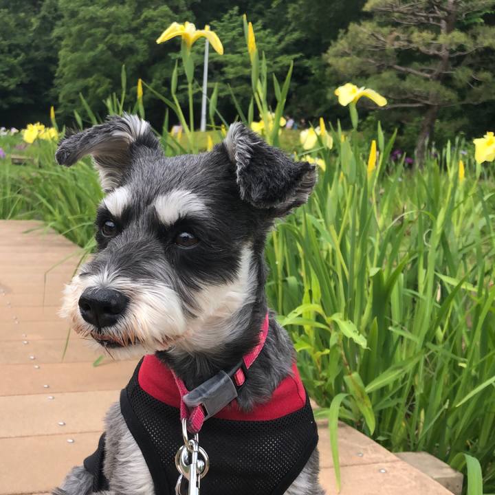 3e48af6f d098 4259 abdb b13845a5853e 1716699840363