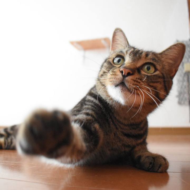 3e48b06d 6ef2 4dfc b73f 5abf35c616a9 1532950002744