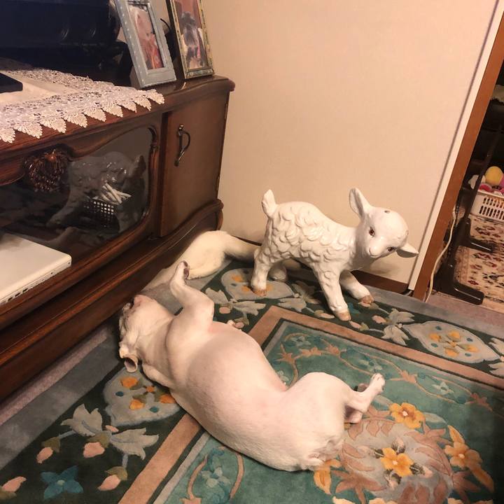 3e495d07 1050 499a 87b5 dcfe46905c10 1624969147856