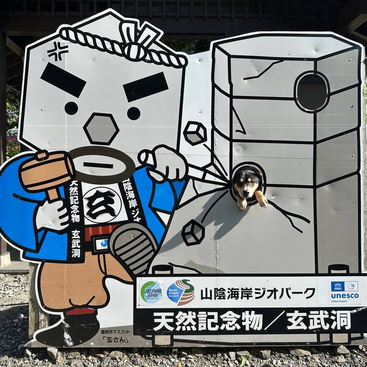 3e49802d 89f0 426c a090 54fa02cce75f 1746530634516