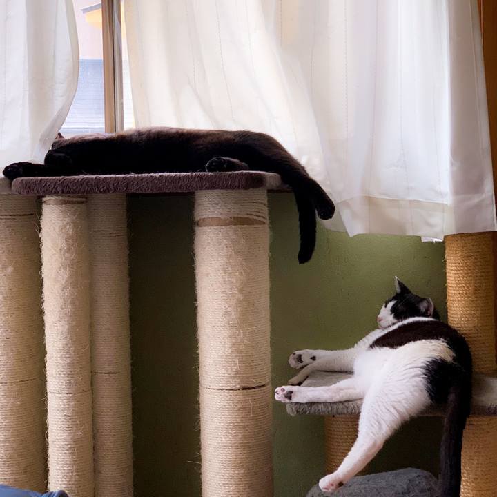 3e49bb37 040f 45e7 93b8 dad9e6fae0fa 1563758626611