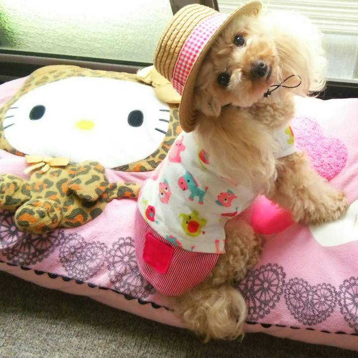 3e49c6cf 59bb 43e3 8eda dd42ef9a07bf 1559820937287