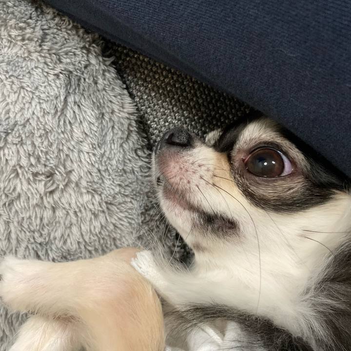 3e49c93d 465b 4aab a054 5ecc0e649a97 1639918065339