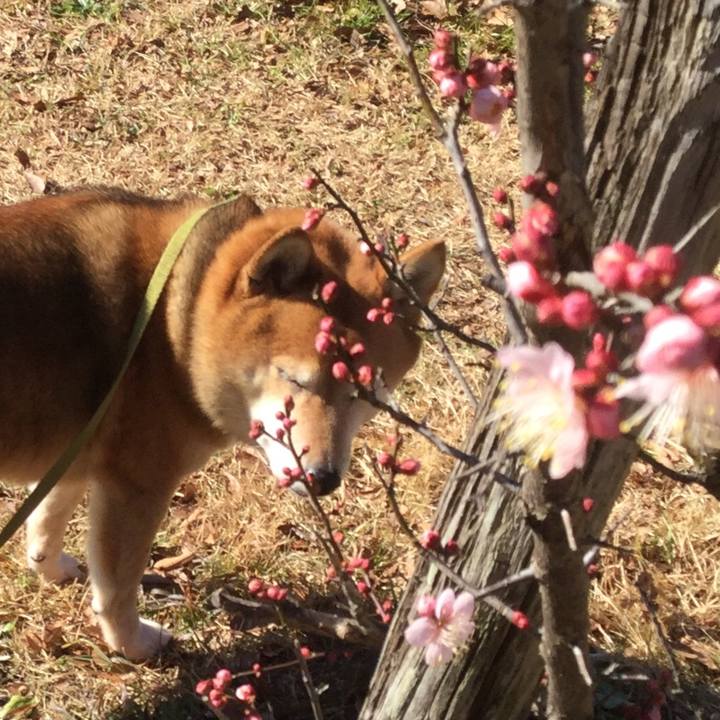 3e49e364 1fe7 4514 b321 7bca9c0373d3 1578653764643