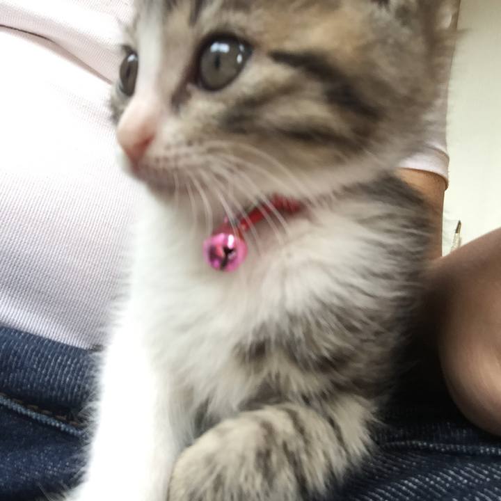 3e4a05d4 6ef5 4616 b24b 910f4026611c 1651531071810