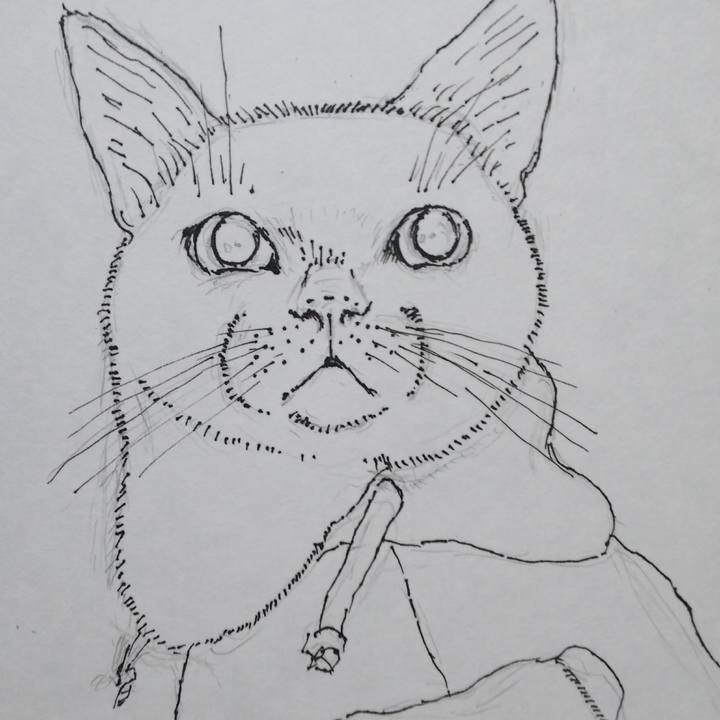 3e4a2146 6eae 4cdb 8f98 83995583ad73 1526198488099