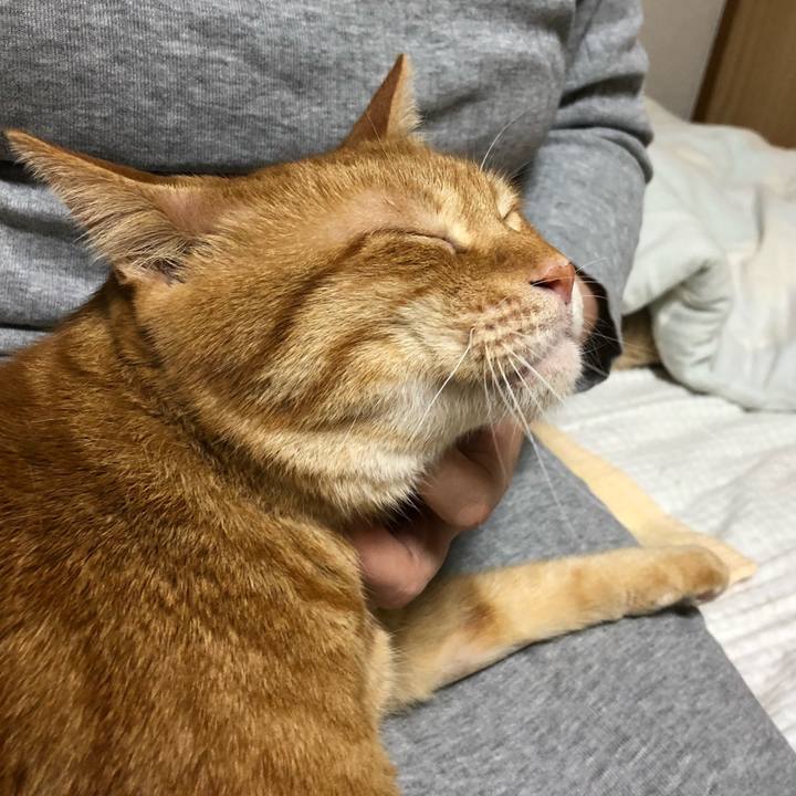 3e4a35c1 3e04 4514 ba92 3e5810249a3d 1592479405279