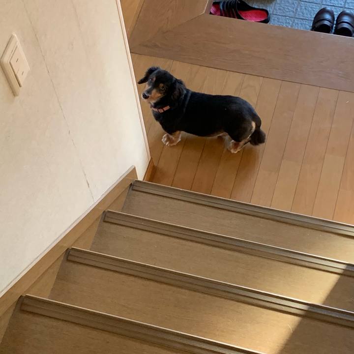 3e4a6d2f ed65 4b97 ae30 9898f015959a 1601588890988