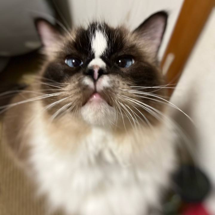 3e4a91a7 6da8 4141 a679 8371996d7d3f 1693661788767