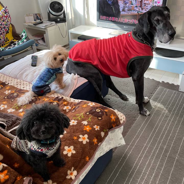 3e4a99c3 e4ba 4361 99d1 a05ab6fb442c 1616107176411