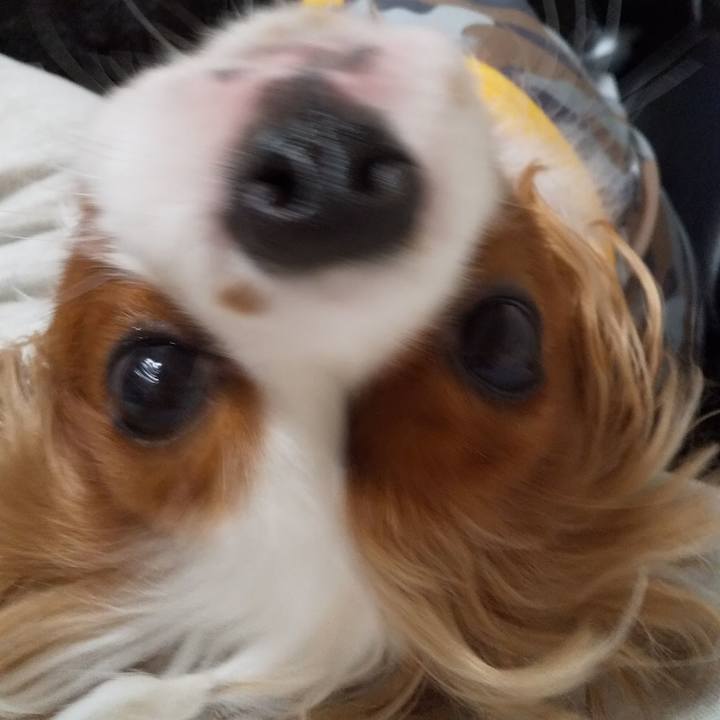 3e4acaea cbfe 4211 bf22 b6fa91d40dbf 1594562799375