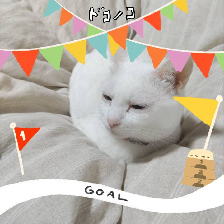 3e4ae6df 31c3 4c4c 8162 2ff9f63501fc 1729407356398