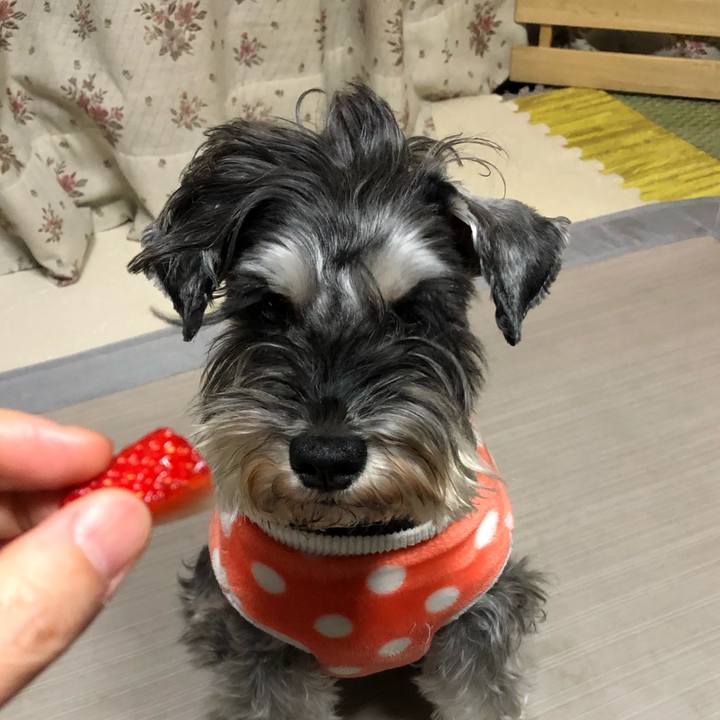 3e4b02c8 7599 404a 8d52 4f28b02b65ff 1607263746927