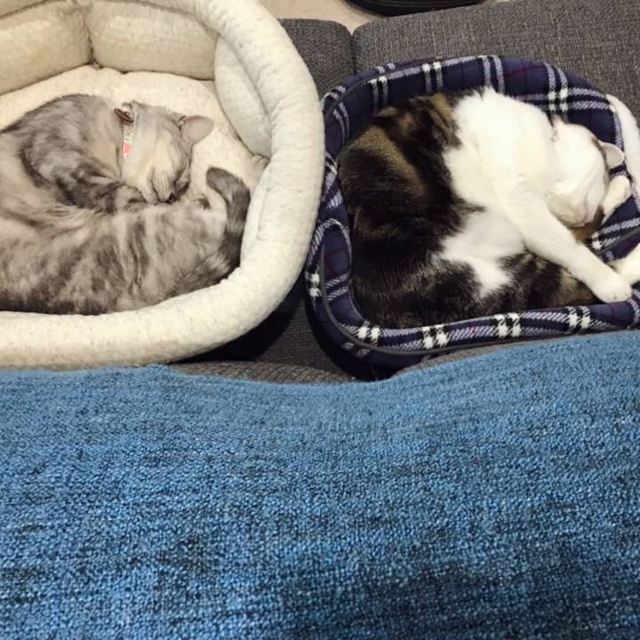 3e4b28b5 e9c5 482e a727 cb77e94b97ba 1602303710376