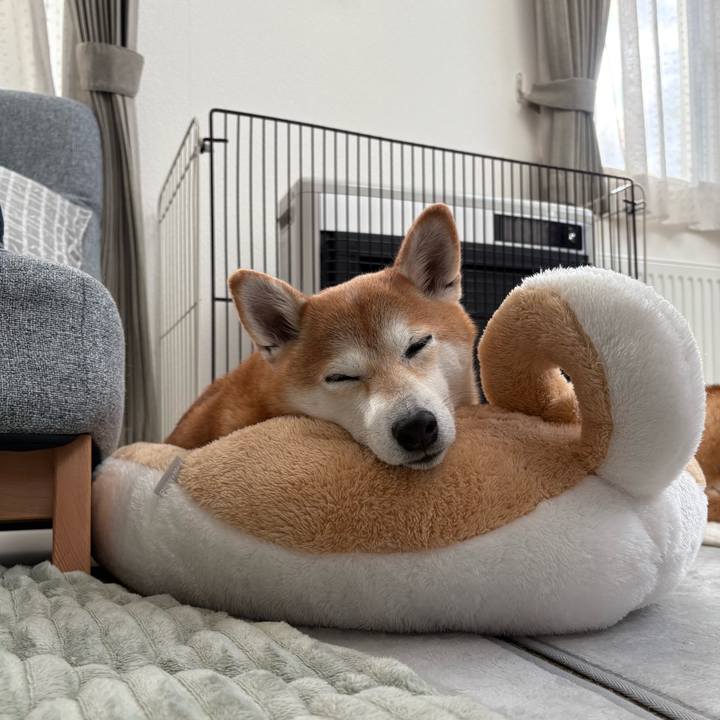 3e4b7fb0 8eb7 4c92 92c4 d371b3f3efe1 1763781159824