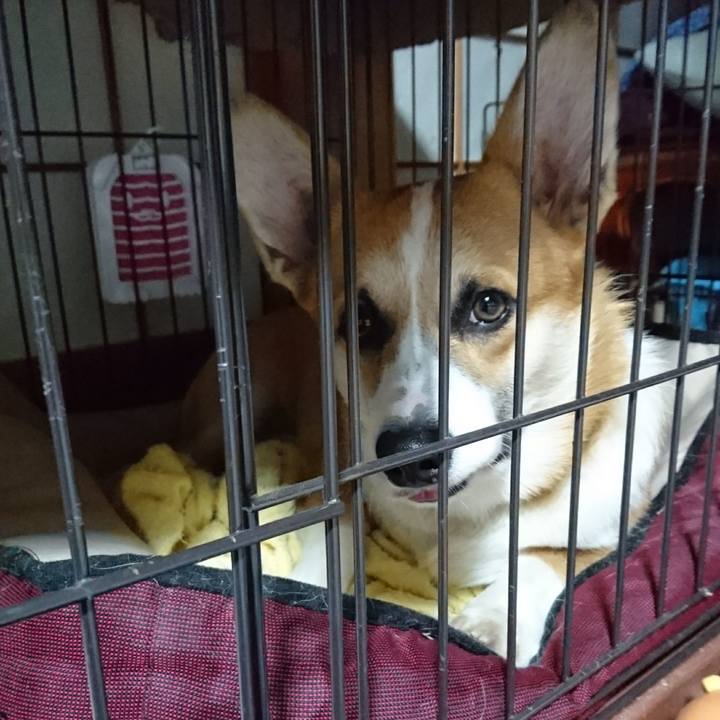 3e4b96eb 8dc5 4c6e 98df 9edf0acb6c28 1572938161854