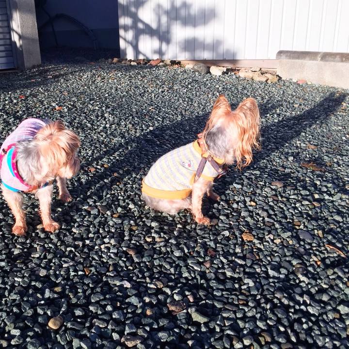 3e4bd082 cc18 40bf 8d09 cdb30cda9ef2 1537223094037