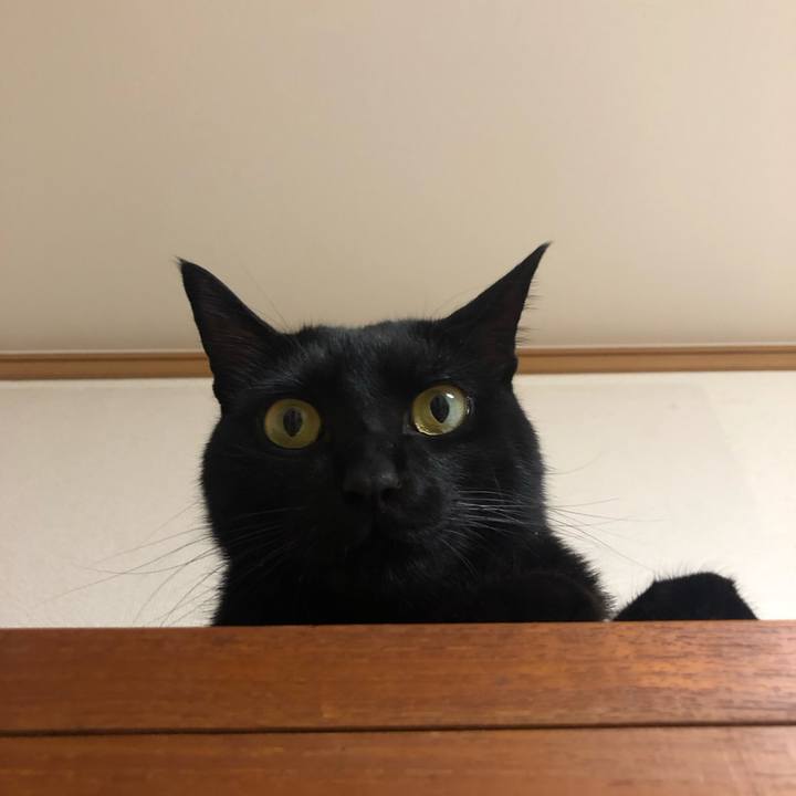 3e4bf506 9723 4e4d 86b3 739f8cc752dc 1556838724966