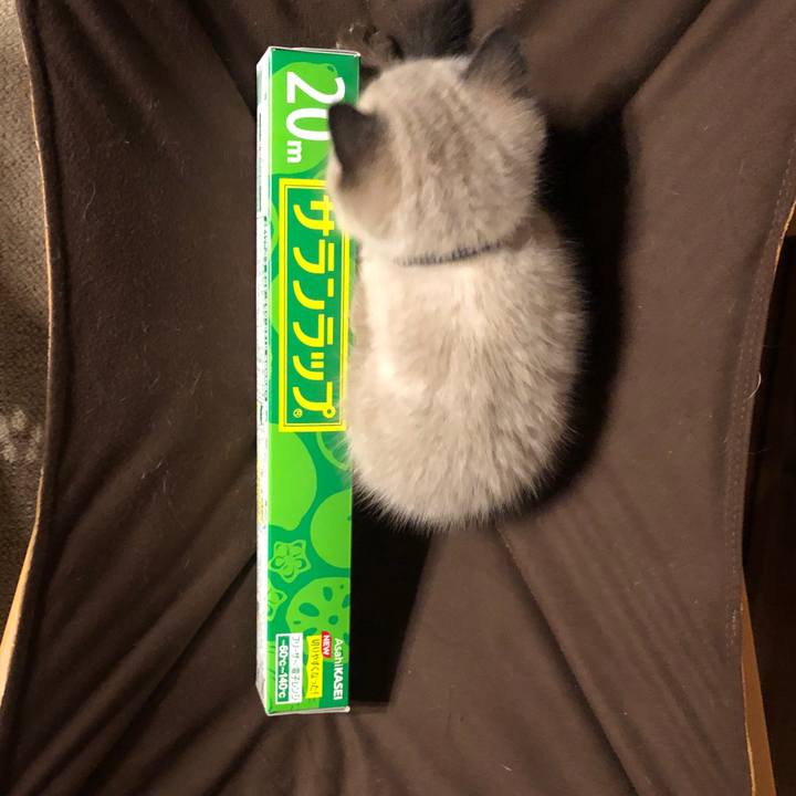 3e4c08e3 5167 4306 8ac3 298501812999 1585144363646