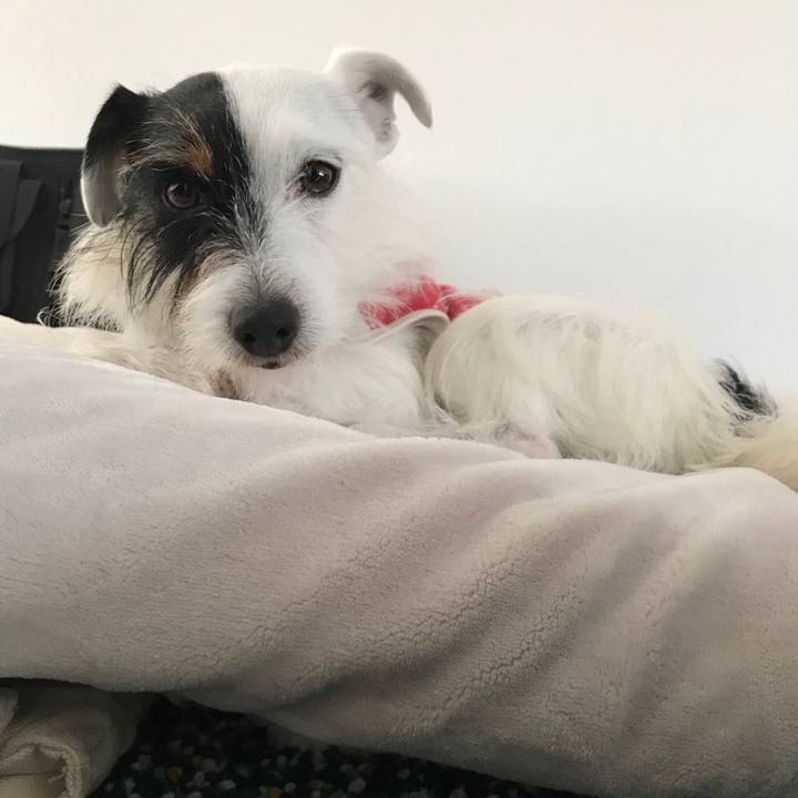 3e4c1004 4c37 4616 907a 8f390e454d9b 1516149981250