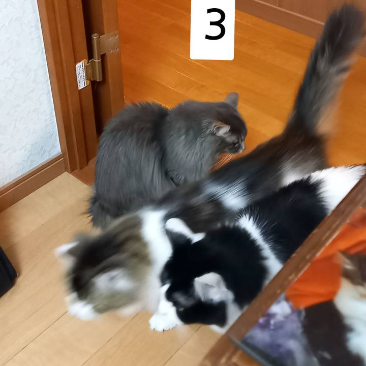 3e4c5ff4 5fe8 40a6 b17e cec164504072 1616156287254