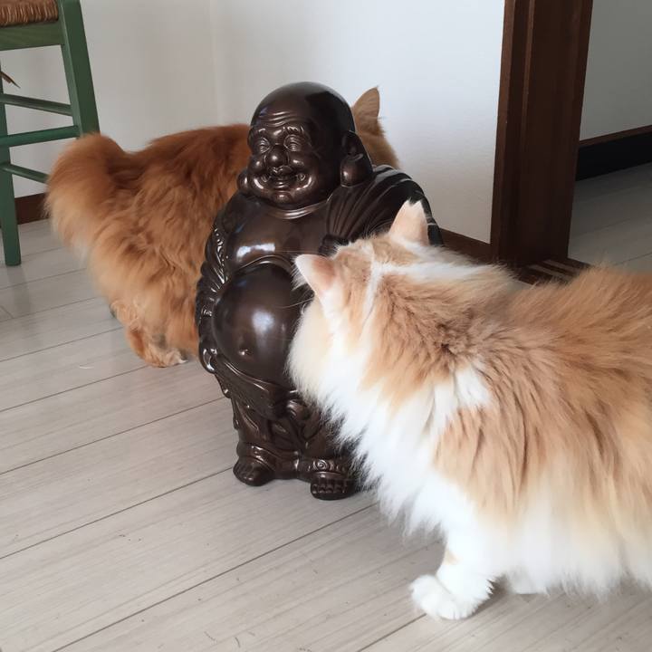 3e4d172e 88fc 4caa ab06 3e2a855c33d7 1552863790369