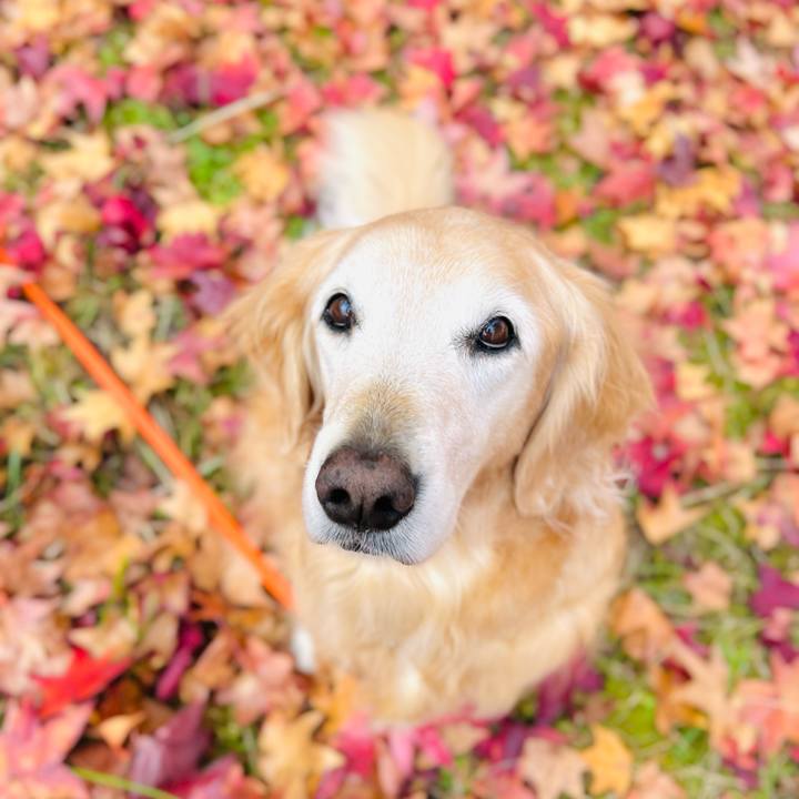 3e4d42e6 81b9 48f5 a7b2 c3efa656c07a 1763881839831