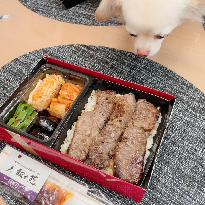 3e4d8020 65bc 4a5a b1f0 4d4fc1ad1005 1707651055405