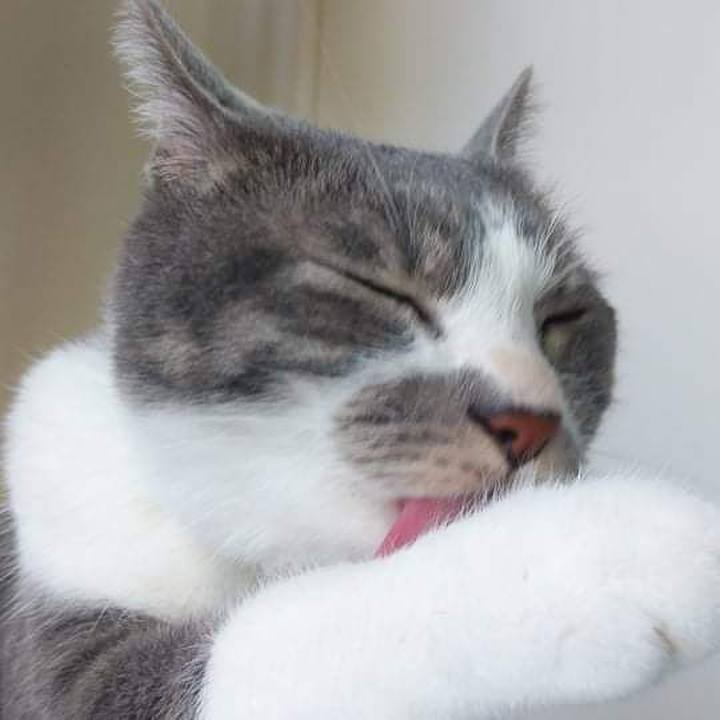 3e4daf6d eb3a 4d24 967d 4a4413e375f2 1633518342466