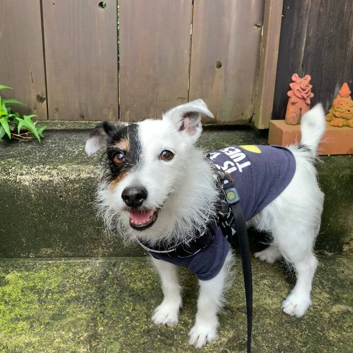 3e4dcd72 239d 4f92 9785 beca89ab6788 1717373952821