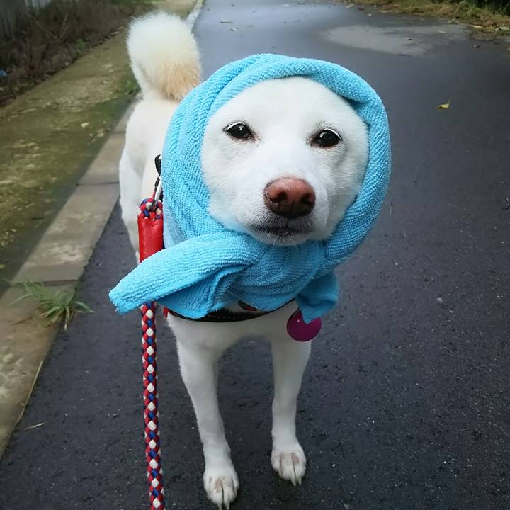 3e4dd2f2 27bb 4cf3 a3cd 0480553cbf3d 1594802272433