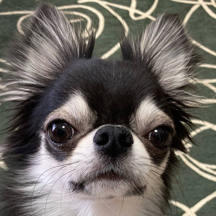 3e4e073e 8070 4616 aa8f 90d3ce04315e 1644902781690